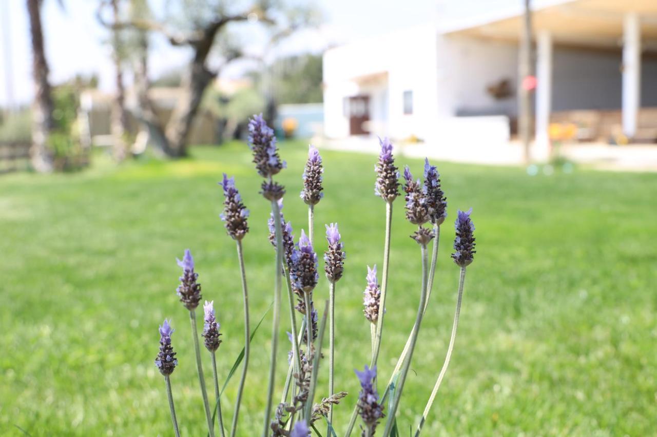 La Finestra Del Delta Guest House L'Ampolla Eksteriør bilde
