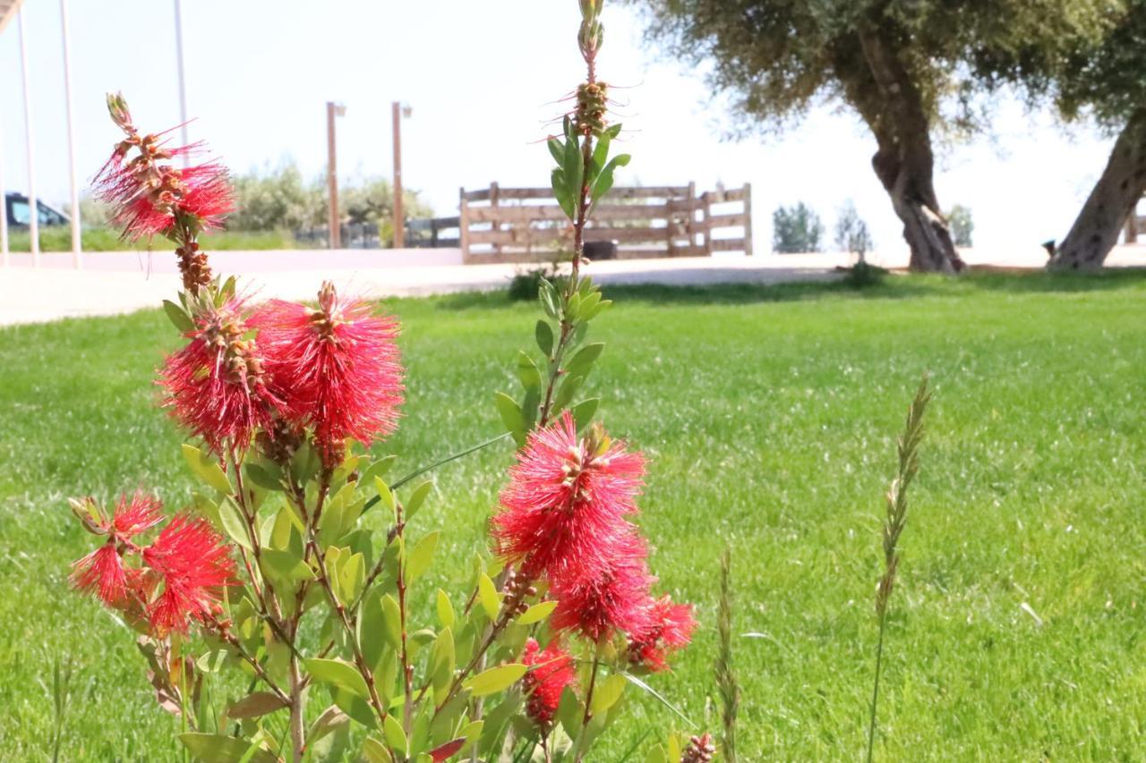La Finestra Del Delta Guest House L'Ampolla Eksteriør bilde